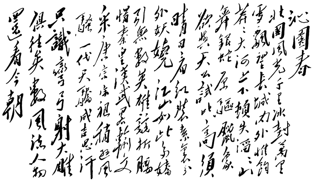 毛体《沁园春·雪》书法作品欣赏